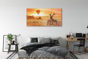Obraz na szkle Balony niebo żyrafy