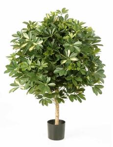 Drzewko Kula z Szeflery 110 cm - Produkt Premium