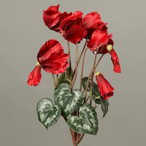 Czerwony Cyklamen 40 cm – Produkt Premium