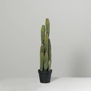 Kaktus w Czarnej Doniczce 96 cm