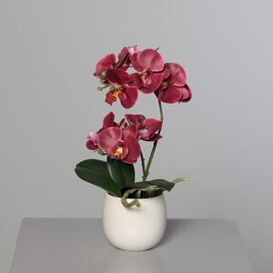 Sztuczna Orchidea w Doniczce 22 cm - Kolory