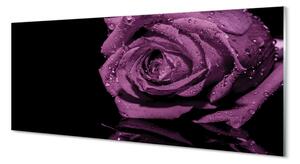 Obraz na szkle Fioletowa róża