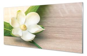 Obraz na szkle Biała magnolia