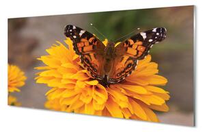 Obraz na szkle Kolorowy motyl kwiat