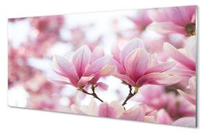 Szklany Panel Wiosenne Drzewa Magnolii