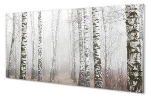 Obraz na szkle Mgła brzozy