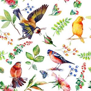 Kolorowe ptaki i liście Tapeta Kolorowe ptaki i liście