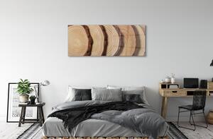 Obraz na szkle Drewno słoje plastry
