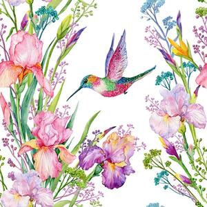 Kolorowe kolibry i dojrzałe kwiaty Tapeta Kolorowe kolibry i dojrzałe kwiaty