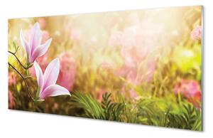 Szklany Panel Magnolia w Słońcu