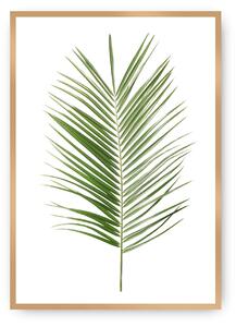 Plakat Palm Leaf Green