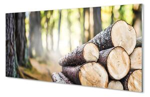 Obraz na szkle Drewno natura las