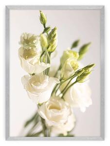 Plakat Elegant Flowers