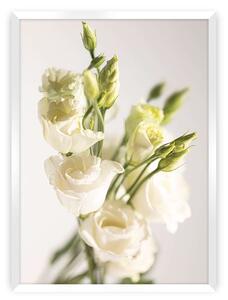 Plakat Elegant Flowers