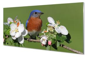 Obraz na szkle Kwiaty kolorowa papuga