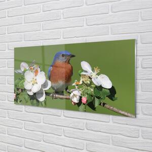 Panel Szklany Kwiaty kolorowa papuga
