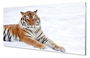 Obraz na szkle Tygrys zima śnieg
