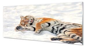 Obraz na szkle Tygrys zima śnieg
