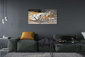 Obraz na szkle Leżący tygrys