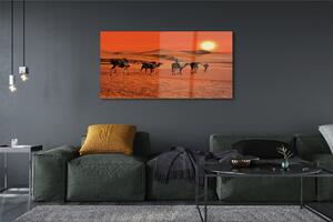 Obraz na szkle Wielbłądy ludzie pustynia słońce niebo