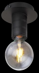 GLOBO HERMINE 54030-1D Lampa sufitowa