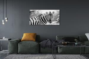 Obraz na szkle Retro zebra
