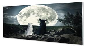 Obraz na szkle Wilki księżyc las