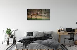 Obraz na szkle Jeleń na polu