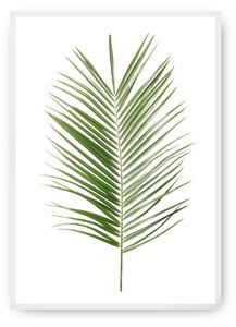Plakat Palm Leaf Green