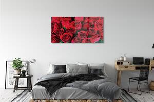 Obraz na szkle Róże