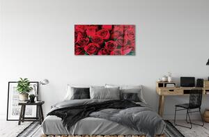 Obraz na szkle Róże