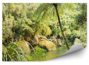 Las tropikalny jeziorko palmy Okleina ścienna las tropikalny jeziorko palmy