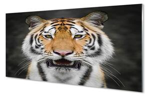 Panel szklany do Kuchni Tygrys Bengalski w Naturze