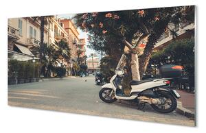 Szklany Panel Motocykle pod Palmami w Lecie