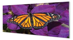 Panel Szklany Kolorowy motyl kwiaty
