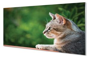 Panel Szklany Hipnotyzujące Spojrzenie Pupila