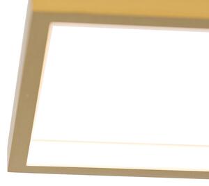 Złota lampa sufitowa z diodami LED 3-stopniowa ściemnialna 4-punktowa - Lejo Oswietlenie wewnetrzne