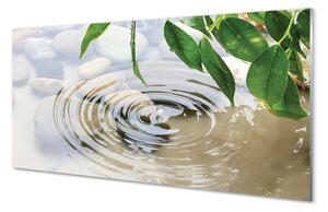 Szklany Panel Krystaliczny Plusk Wody