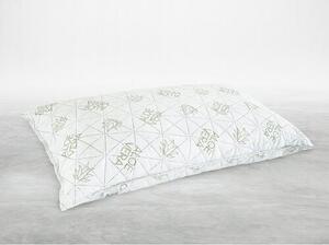 B.E.S. Petrovice Visco poduszka luxury Aloe Vera, 45 x 75 cm