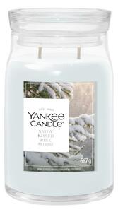 Świeca zapachowa Yankee Candle Signature DUŻA - Snow Kissed Pine