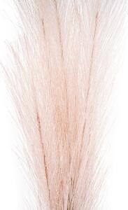 Trawa pampasowa, jasnofioletowy, 9 x 77 cm