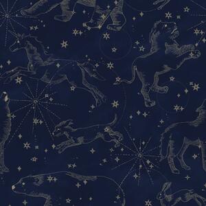 Tapeta do pokoju dla dziecka Constellations Dark