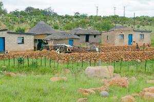 Domy wiejskie Zululand drzewa rośliny kamienie Afryka Okleina na ścianę domy wiejskie Zululand drzewa rośliny kamienie Afryka