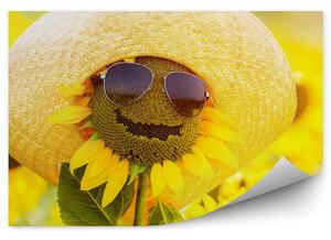 Śmieszny słonecznik w okularach i kapeluszu kwiaty Fototapeta śmieszny słonecznik w okularach i kapeluszu kwiaty