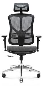 Siatkowy fotel biurowy Diablo V-Basic: czarny, fotel ergonomiczny
