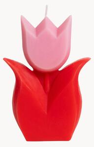 Świeca Tulip