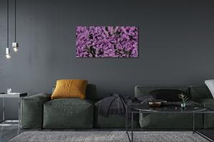 Obraz na płótnie Fioletowe kwiaty