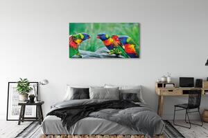 Obraz na płótnie Kolorowe papugi drzewo