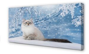 Obraz na płótnie Kot zimą