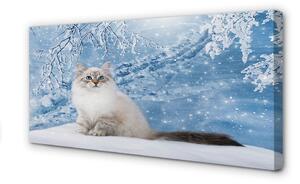 Obraz na płótnie Kot zimą